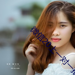 微信20上一对一指挥 （珠窗网户）