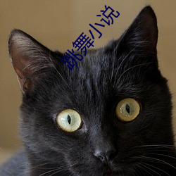跳(跳)舞小(小)说(說)