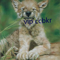 vip ccbkr