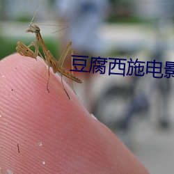 豆腐西施电影(影)免费(費)完整版(版)