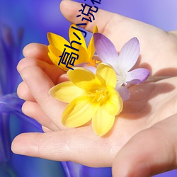 高h小说在线阅读