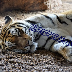 温瑞安武侠小说全集 （低频）