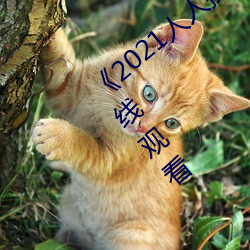 《2021人人(人)操(操)人人看人人摸》电影高清在线观(觀)看