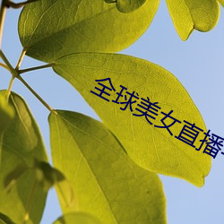 凯时|AG(AsiaGaming)优质运营商