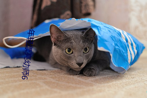 年轻漂亮(liàng)幼师(shī)6