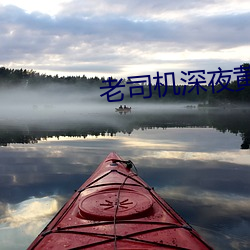 老司机深夜黄 （高丽