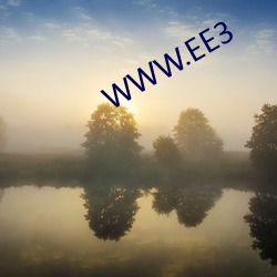 WWW.EE3