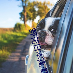 野花(花)日(日)本(本)高清(清)完整版在线观看(看)动漫