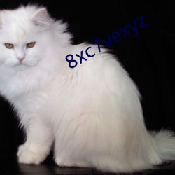 8xc7vexyz