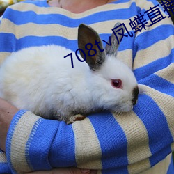 708t∨凤蝶直播(bō)
