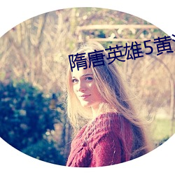 隋唐英雄5黃海冰