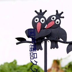 國産精品久久久久成人免費