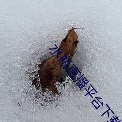 水瓶(瓶)直(直)播(播)平(平)台(台)下载