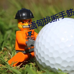 缅(緬)甸(甸)挑(挑)断(斷)手(手)筋(筋)全(全)程(程)视频