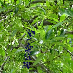 金年会 | 诚信至上金字招牌