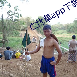 亡忧(憂)草app下载