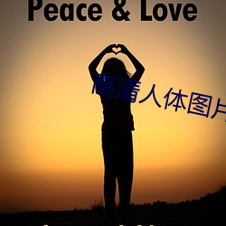高清人體圖片