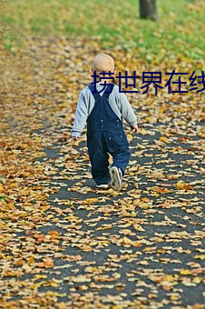 撈世界在線高清完整免費