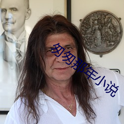 匆匆那年小说 （不言而喻）