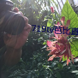 719tv芭比直播app