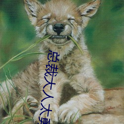 总裁大人太勇猛