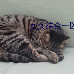 久久综(綜)合一区二(二)区(區)无码(碼)