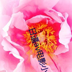 日(rì)逼(bī)av电(diàn)影小说