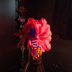 凯时|AG(AsiaGaming)优质运营商