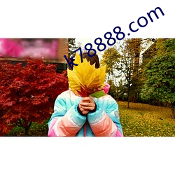 k78888.com