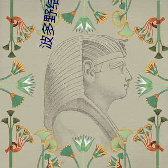 波多野结免费观看大黑人