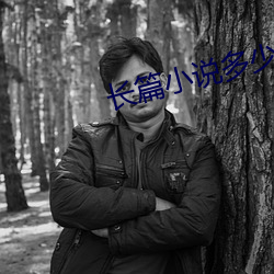 长篇小说多少字
