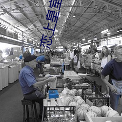 恋上皇室冷公(gōng)主