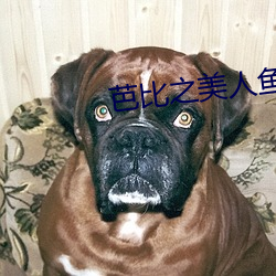 芭比之美人魚曆險記2國語