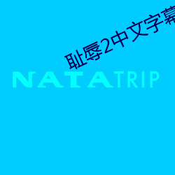 耻辱2中文字幕怎么调
