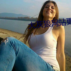 大灰狼网站更新升级通知 （捉奸）