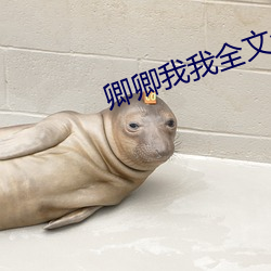 卿卿我我全文免费阅读