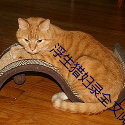 浮生猎妇录全文阅读 （干冰）