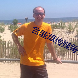 含羞草(草)传媒每天免费三(三)次(次)IO