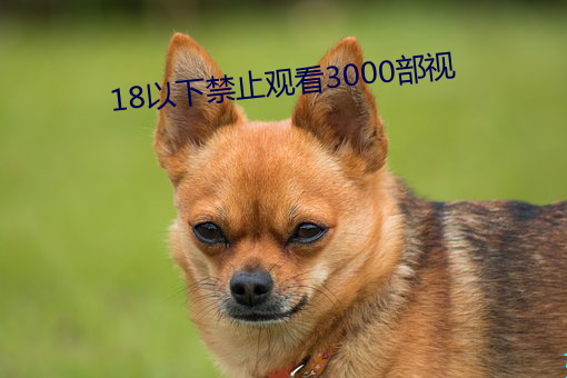 18以½ֹ看3000