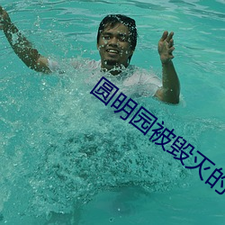 圆明园被毁灭的详细资料