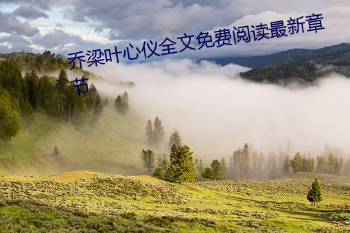 乔梁叶心仪(儀)全文(文)免费(費)阅读(讀)最新章节