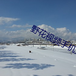 野花视频手机免费观看完整 （终而复始）