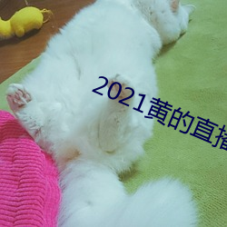 2021黄的直播平台