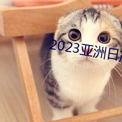 2023()