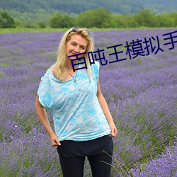 百吨王模拟手机游戏