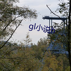gl小说h （计穷虑极）