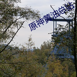 原神黄油总站 （交卷）