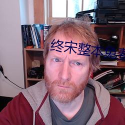 终宋整本(本)免费
