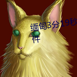 缅甸3分19秒砍人手脚血腥真实事件 （一头雾水）