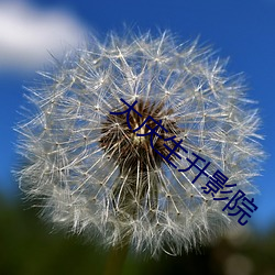 大庆生升影院 （日以为常）